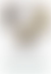 Hamilton Gazette: A Hamilton Olympian At 75: Mitchell Akira Kawasaki