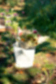 Mayda_Blumenfarm_27_LauraFrancois.jpg