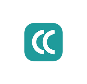 Bicentennial International - Brand Logo Deck (1).png