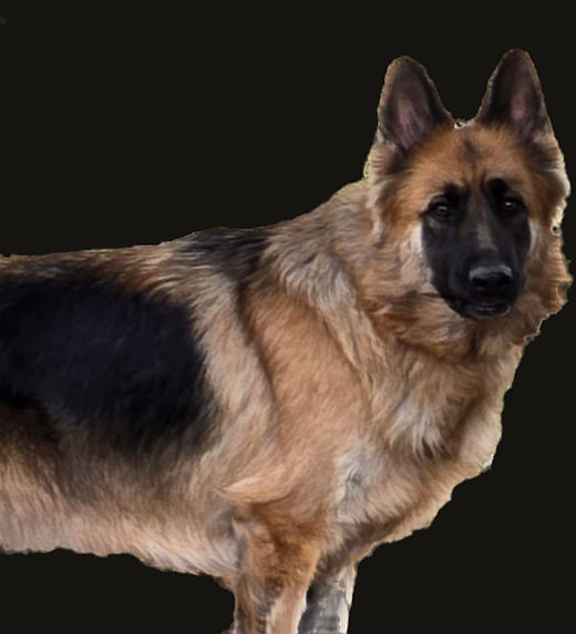 Faith 2_edited_edited.jpg