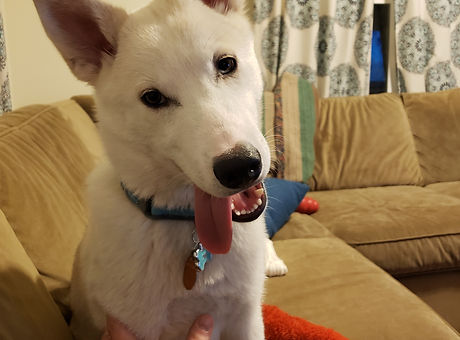 20190219_201653.jpg