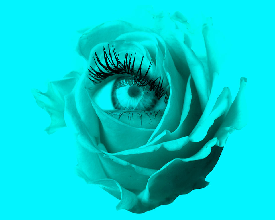 getty-images-C8esTeiemrQ-unsplash 4_edited.jpg