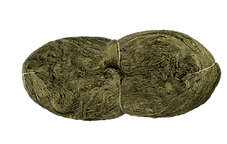 photo_2025-10-03_12-54-23 (3)_edited.png