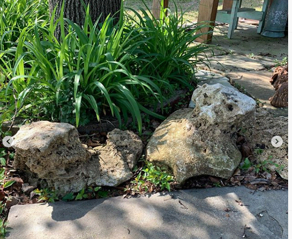 NATIVE HOLEY BOULDERS