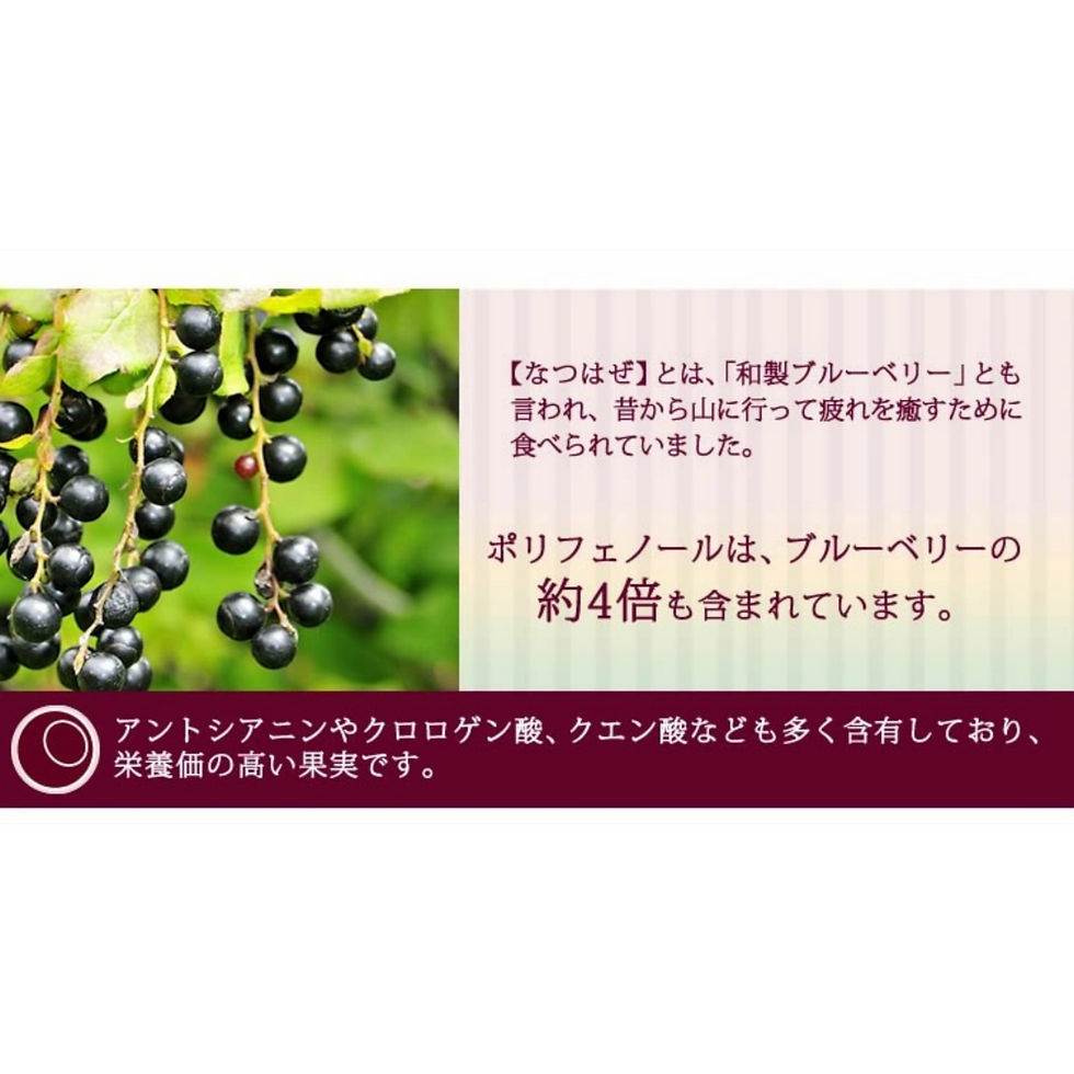 サムネイル： なつはぜふるーてぃ