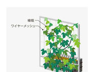 「グリーンカーテンの効果」
