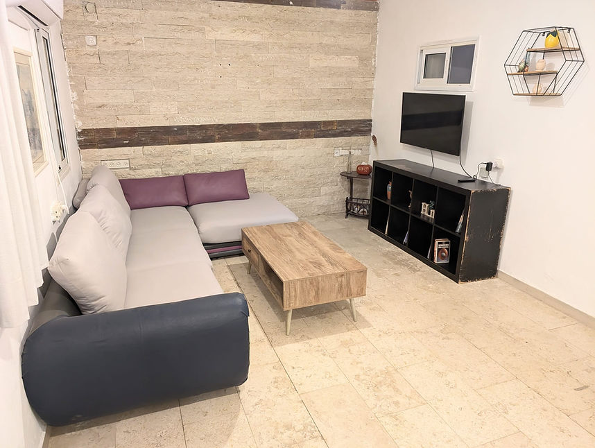 סלון עם טלויזיה 1.jpeg