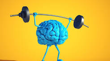 How Fasting is Beneficial for Brain Health & Inflammation