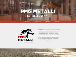 PMG METALLI