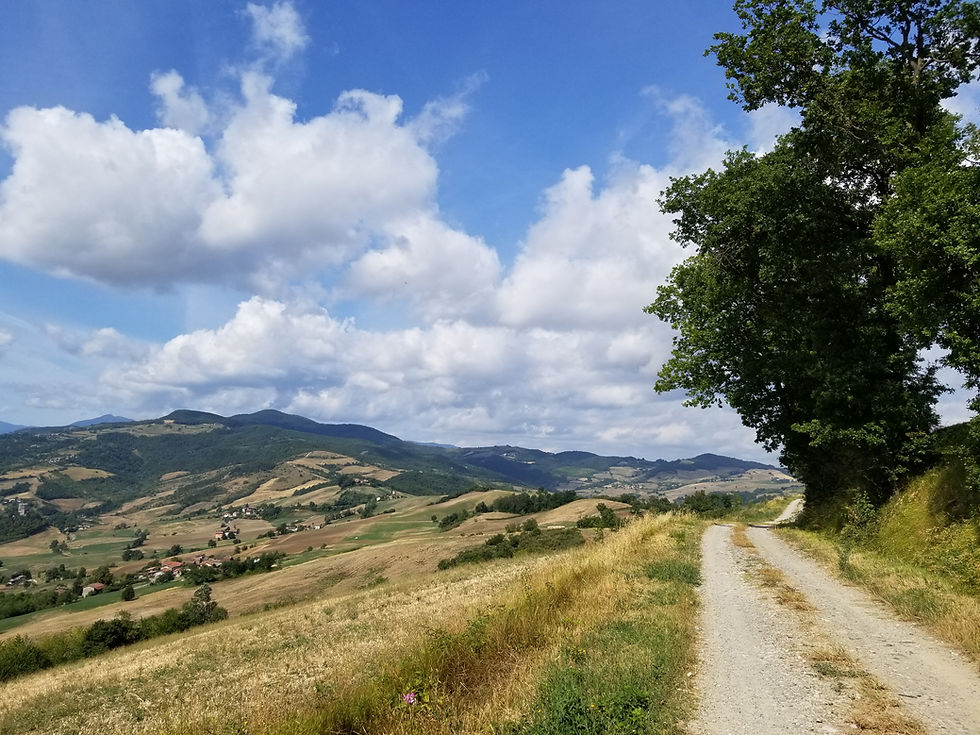 Il Giardino di Safira