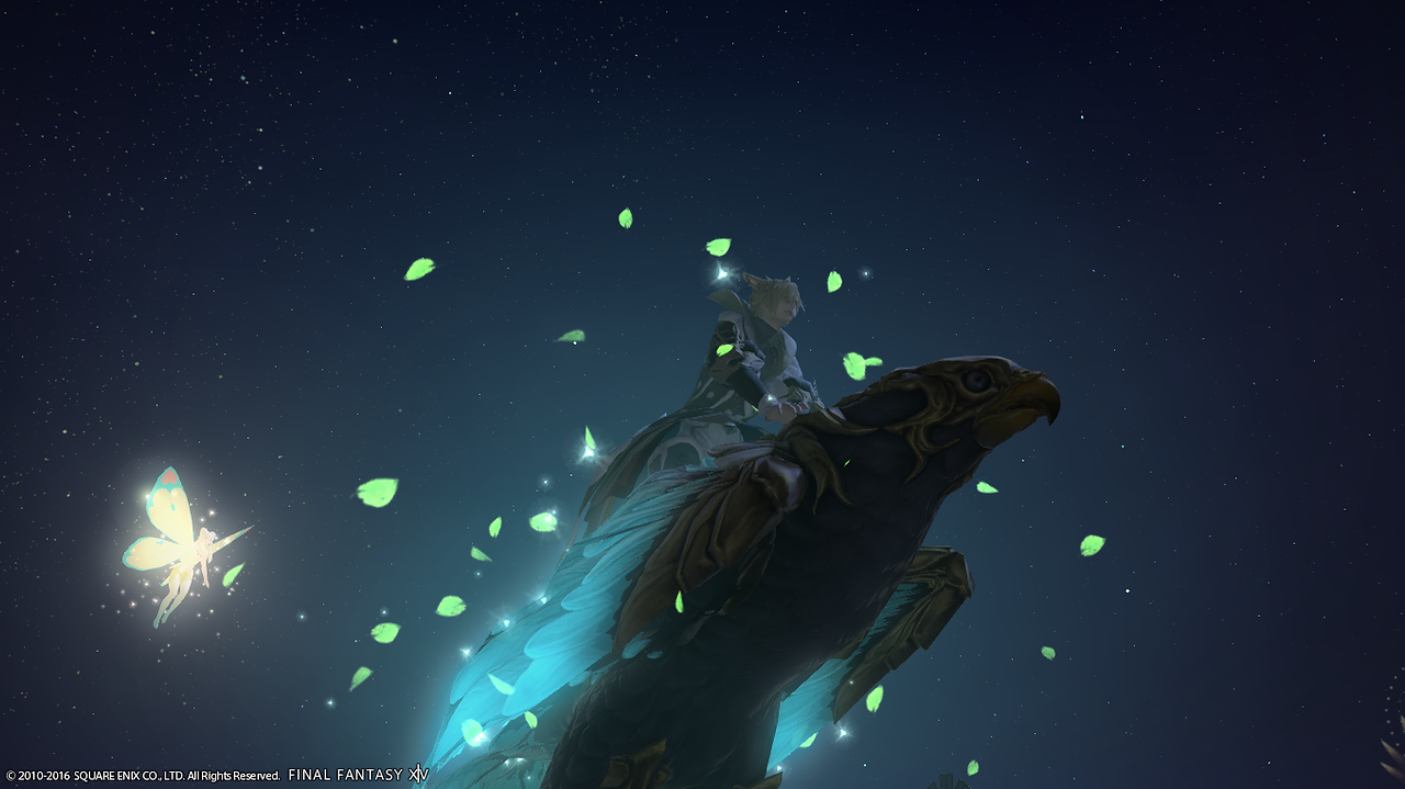3.0 Bird