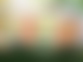 Structures de l’enfance: projet novateur