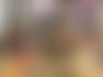 Atelier Informatique Seniors