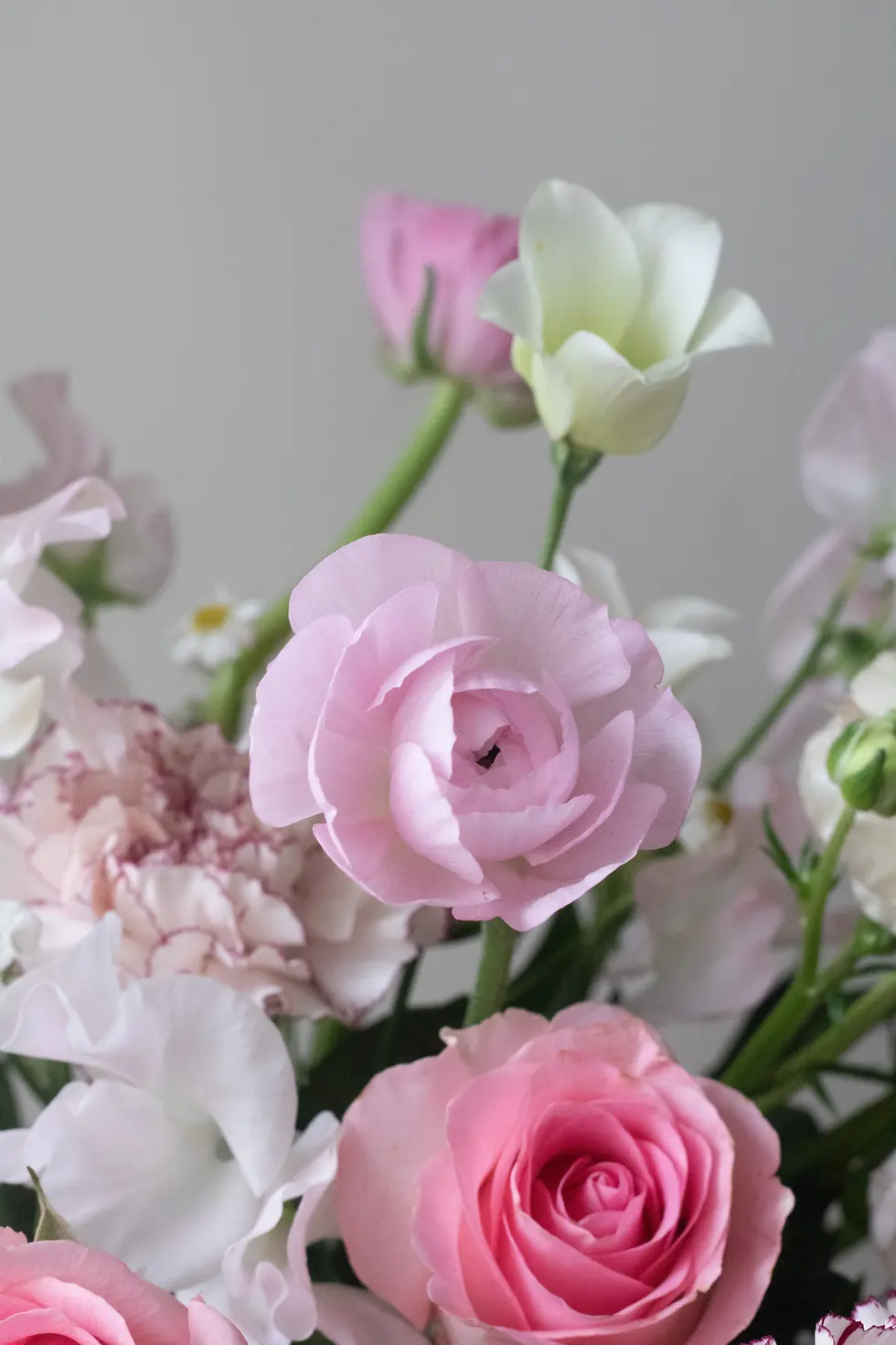 縮圖：開幕盆花｜鮮花盆花-粉色系