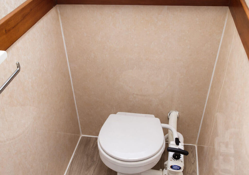 Small boat or RV bathroom with a marine toilet, wood trim, and a skylight window.