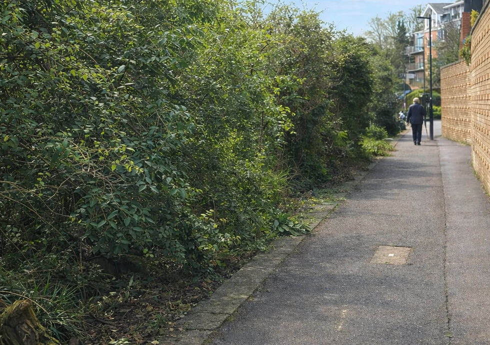 Riverside footpath beside greenery and residential houseboats in London