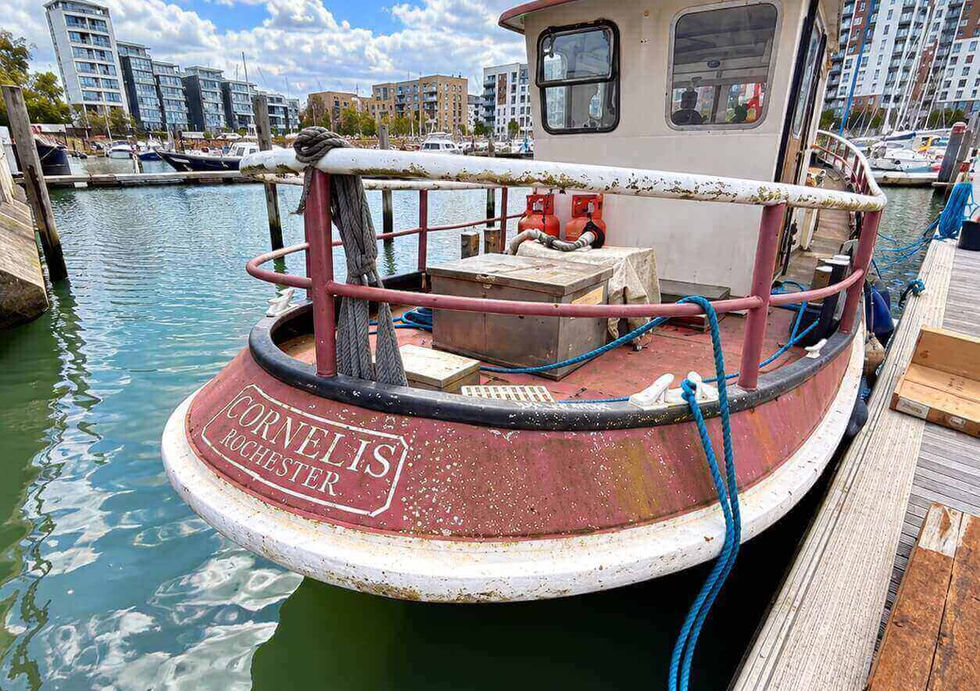 Stern view of Cornelis Dutch cruising barge showing rear deck, wheelhouse and marina surroundings.