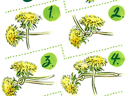 Dandy Dandelions! 'At Home Art - 36'
