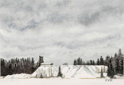 Michael Cleary, Brady Lake