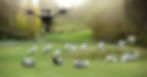 Agricultural drone watching a herd of sheep Smart farming.jpg