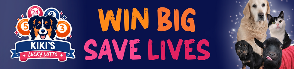 lottery banner.png