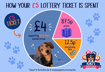 lottery pie.png