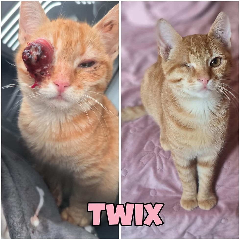 Twix