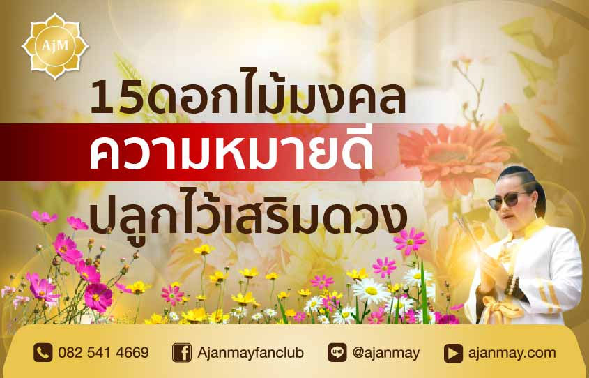 15ดอกไม้มงคล