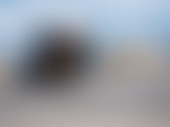 More tour and more roar: 2019 KTM 1290 SUPER DUKE GT