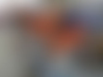 Building a Moto3 bike…