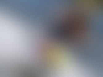 Von der Strecke an den Strand: MXGP-Stars gehen ins Wasser!