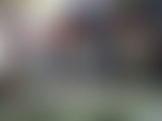 Orange Haendler weltweit: KTM in Barcelona