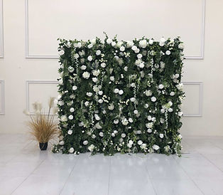 White Wonderwall.jpg