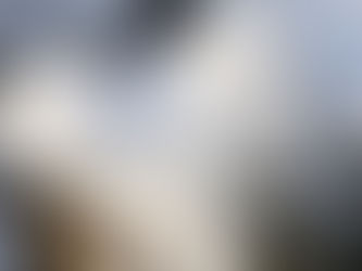 Glitzer zeigt sich erst in Bewegung.