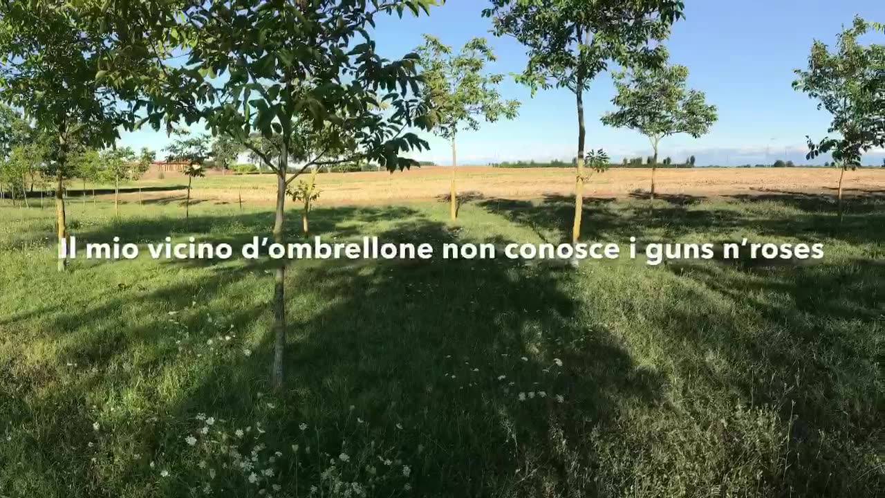 Ok, è domenica pomeriggio, è il 26 di agosto e se non la prendi così, non ce la puoi fare.
Da lunedì torno ad essere un contadino serio...promesso!