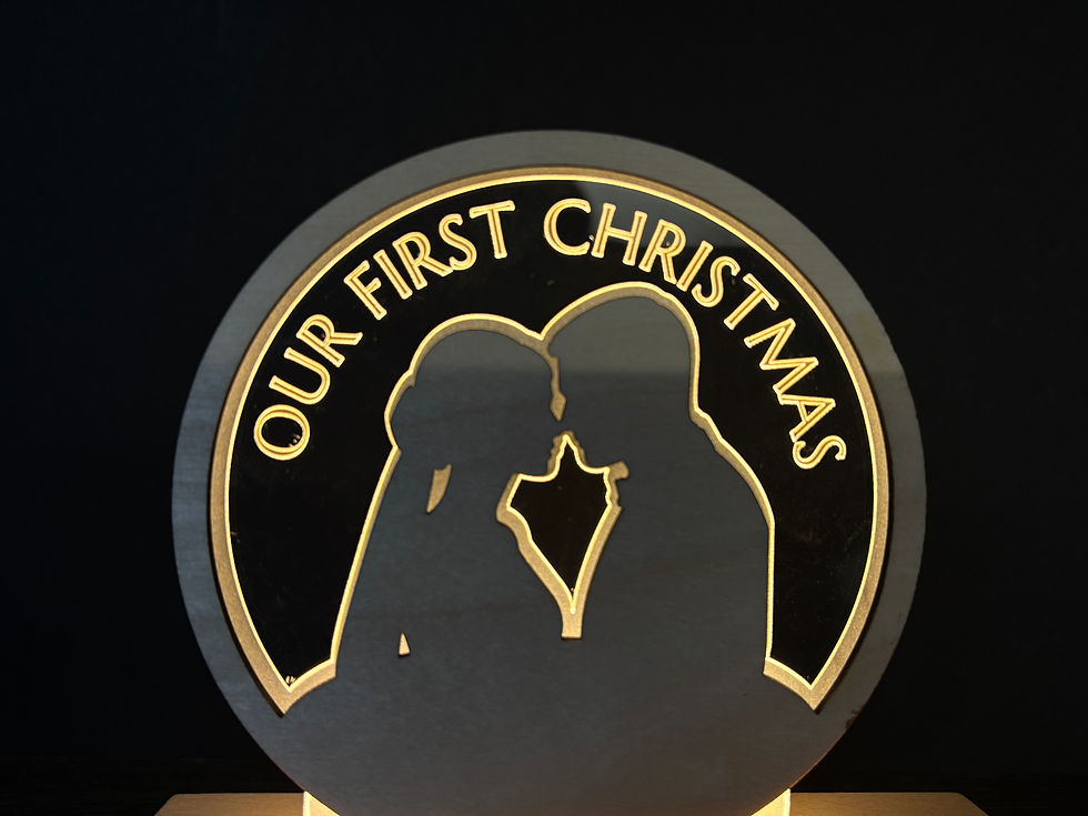 Christmas LED lights