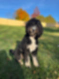 IMG_4043.jpeg