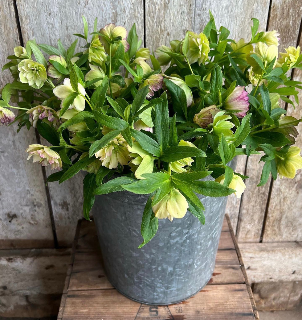 A7C1BE39-9999-4359-9AAD-C95EA9575C32