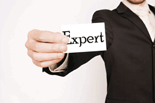 Expert.png 620.png
