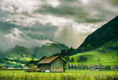 Swiss Farm_Storm brewing_04_print.jpg