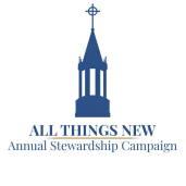 Writer: Stewardship Team and Endowment Board