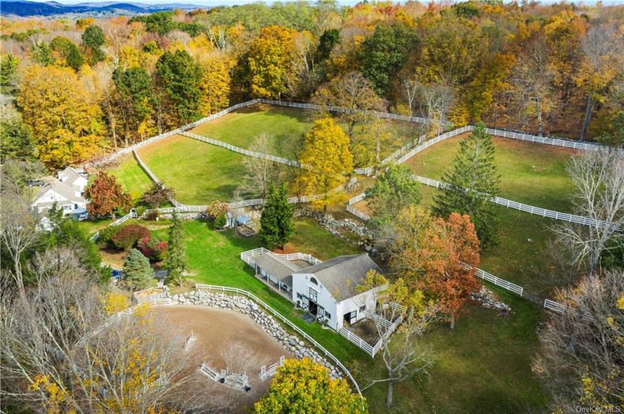 Home Lisa Fitz Real Estate