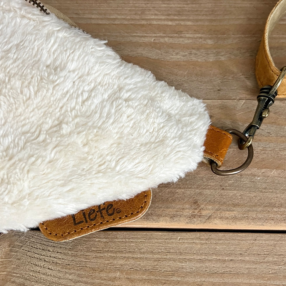 Thumbnail: Teddy BumBag