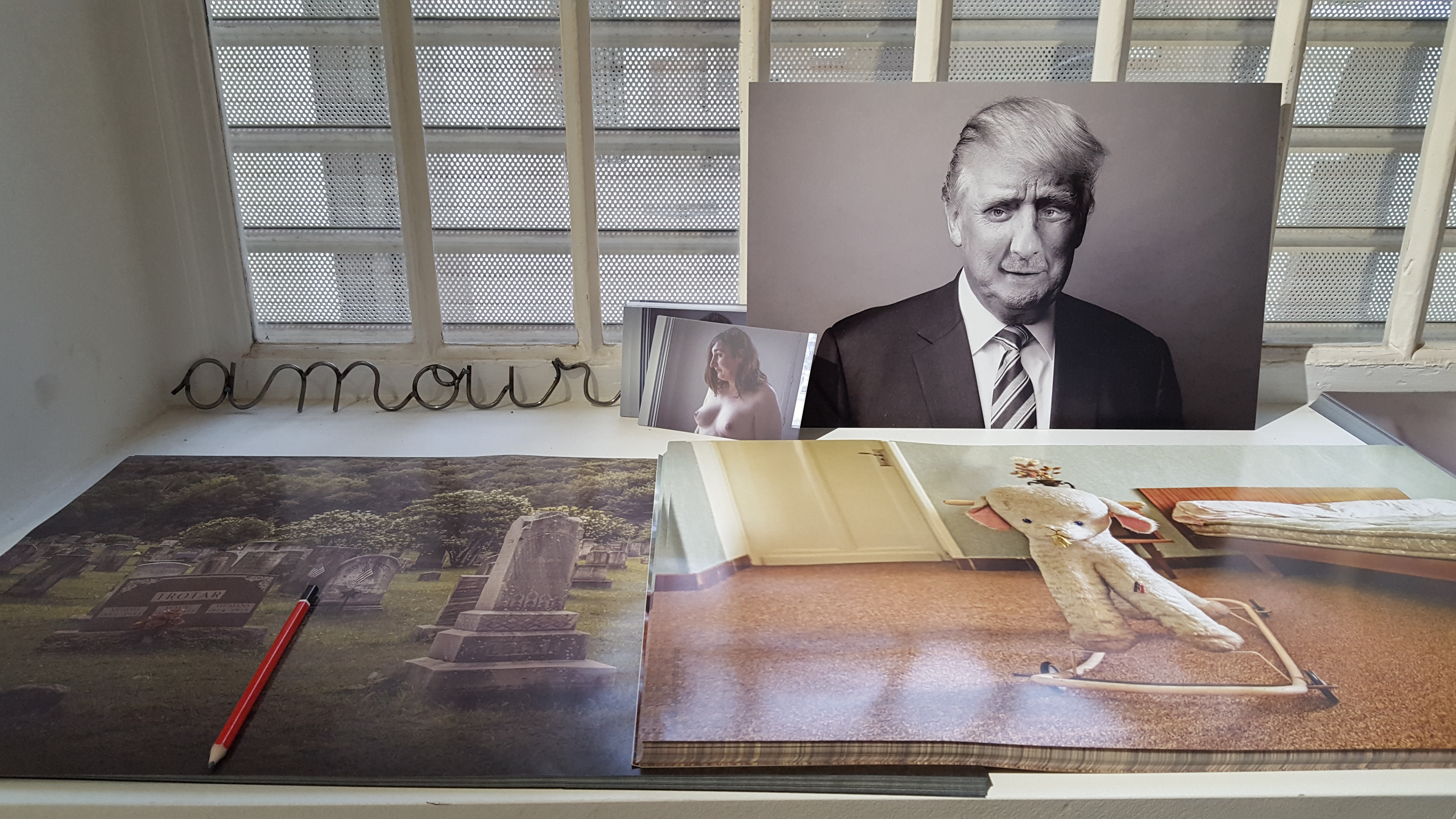 Portrait Robot de Dictateur