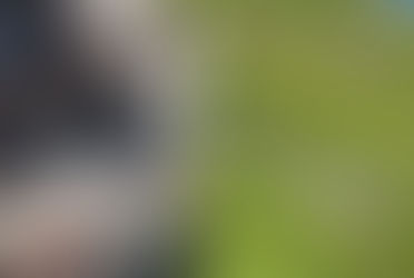 Escalade et virée en bateau