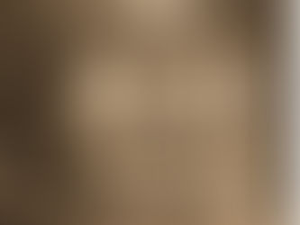 Re-imagined 1861 view of the Holbrook family home at 25 Park Street in Madison, Ohio.