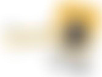 NYC SST Supervisor Card: Requirements, Training & How to Get It