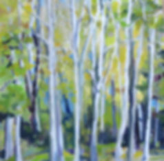 Birches by Marcia Brandwein