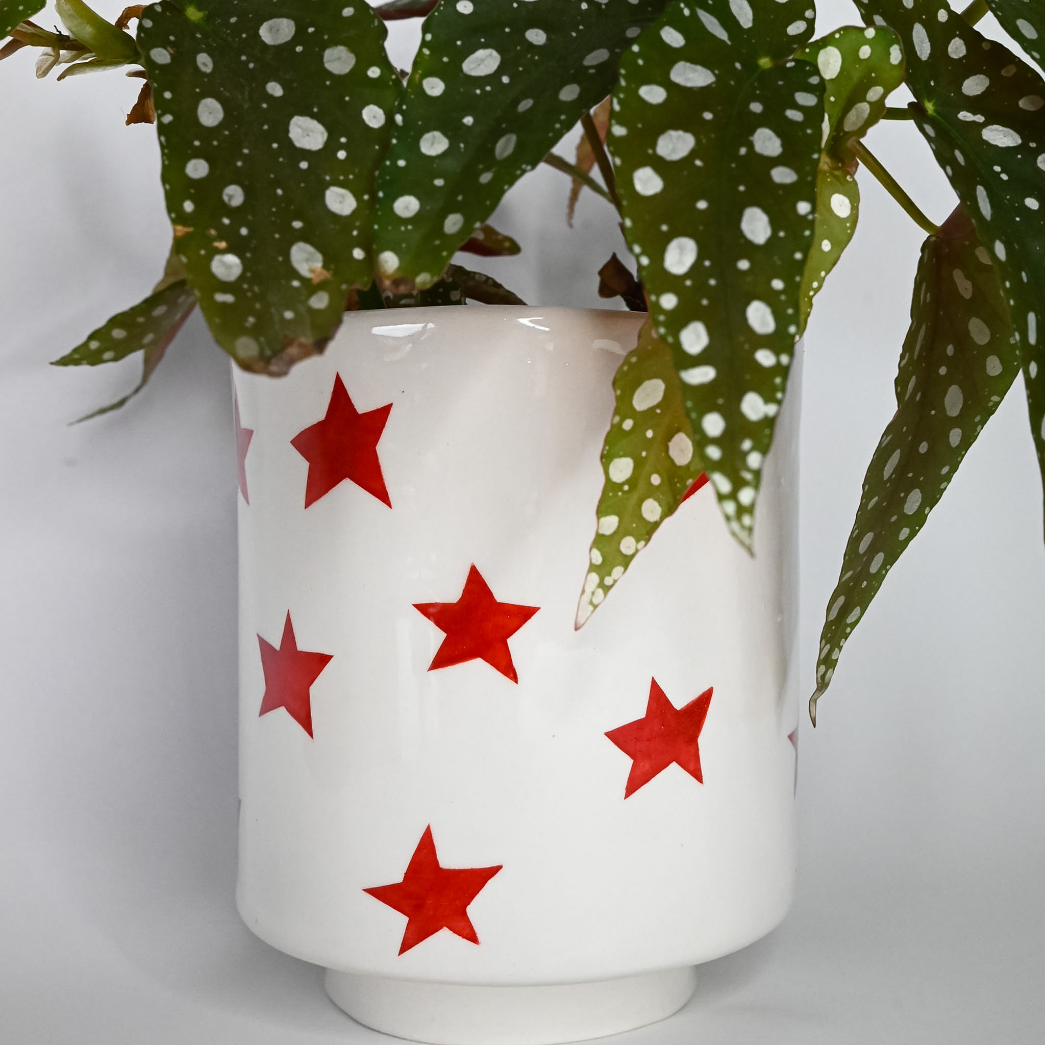 vaso stelline