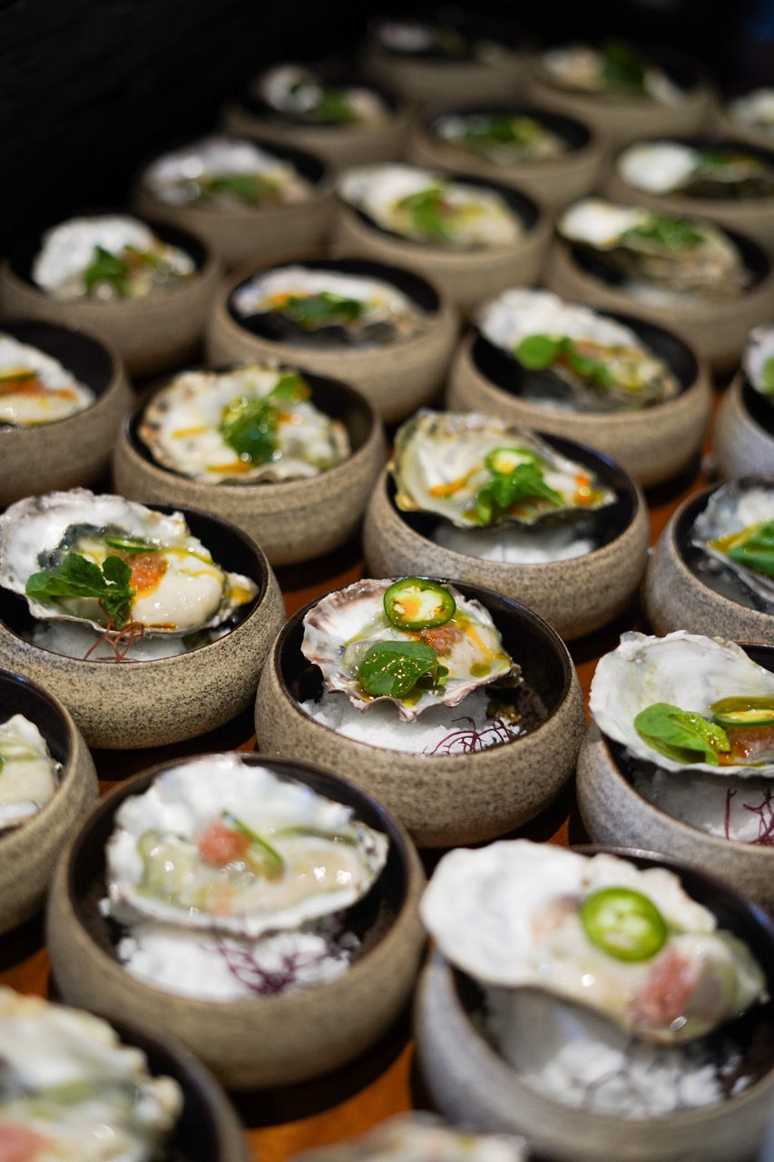 20240207-DSC00696 Large